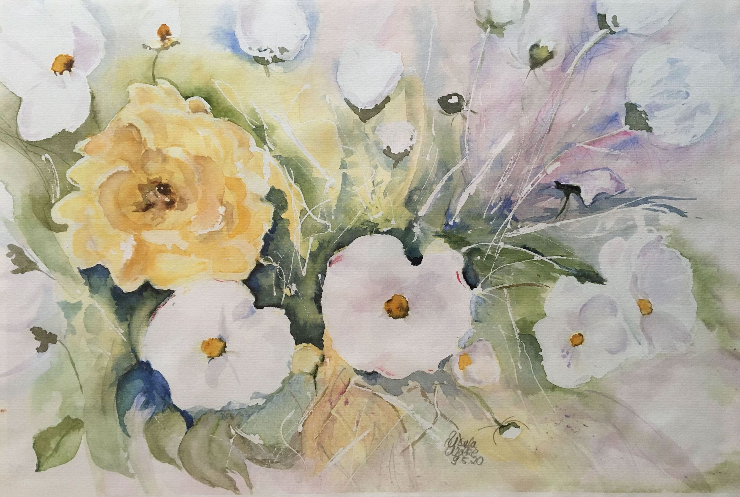 chrysanthemen