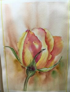 rose feurig