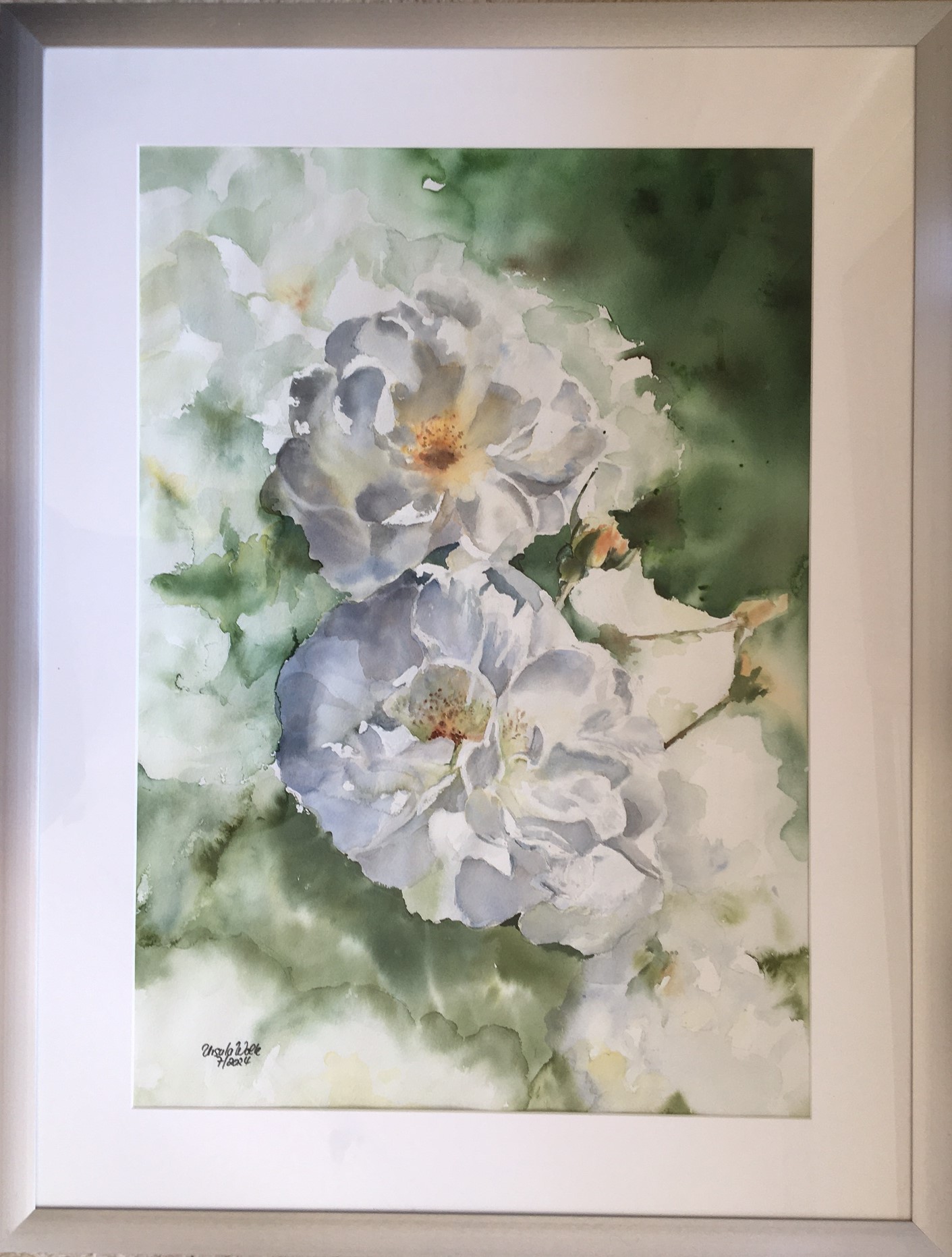 ursulablumen158 weisse rosen