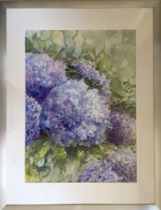 hortensie