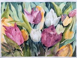tulpen