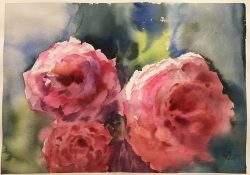 Rosenrot