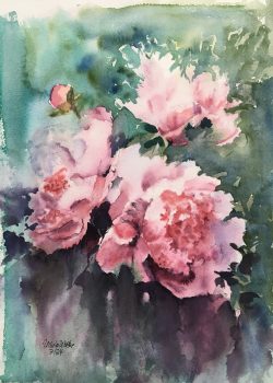 peonie